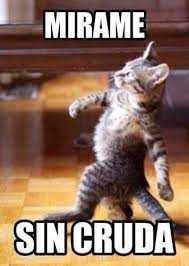 Sin Cruda Cute Animals Kittens Animals