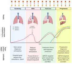 But early symptoms of sclc can be systemic (involving overall metabolism or body function), like weight loss. Cancers Free Full Text Implementing Ctdna Analysis In The Clinic Challenges And Opportunities In Non Small Cell Lung Cancer