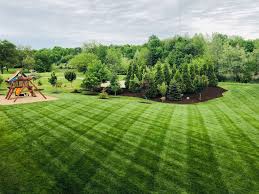 Caring for a lawn can take a lot of work, which can be time consuming and energy draining. Why Organic Lawn Care Grass Master