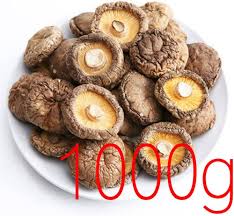 Image result for Lentinus edodes