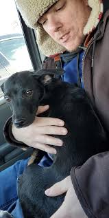 Jacob has been adopted ❤️❤️❤️thank you everyone who sponsored him while he  was under our care ❤️❤️❤️