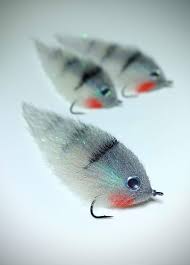 Image result for Turraea fischeri