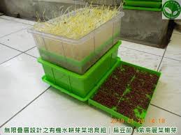 有機芽菜 芽菜機 芽菜培育箱 水耕盤 芽菜種子 育苗盤 有機芽菜農場 有機芽菜的種植可以很環保 更能很簡單在家種菜