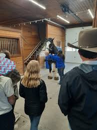 Marshfield FFA Chapter