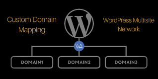 How To Do Custom Domain Mapping In Wordpress Multisite Network Custom Wordpress Map