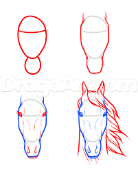 To draw a horse head, start by drawing a round face and a long snout. Step 8 Horse Front Face Toons Mag