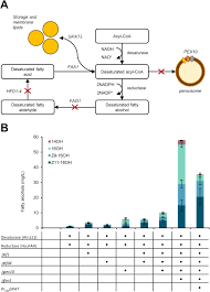Our first spotlight will be on our original owner/operator. Production Of Moth Sex Pheromones For Pest Control By Yeast Fermentation Sciencedirect