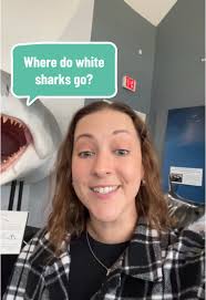 Where Do White Sharks Go in Winter? Insights from Tagging