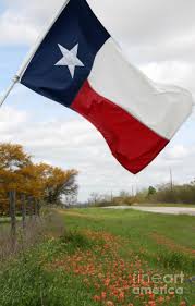 Honor the texas flag of 1836; Honor The Texas Flag Photograph By Amy Steeples