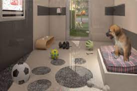 Explore other popular pets near you from over 7 million businesses with over 142 million reviews and opinions from yelpers. Luxury Boarding Hotel For Paws Dog Boarding Facility Animal Room Dog Rooms