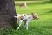 Dog Urine Color Chart