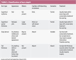 Emergency Management Of Burns Part 2