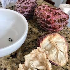 It is the second largest genus in the family after guatteria. Anona Is A Meaty Sweet Fruit With Lots Of Seeds I Will Be Planting At Home Picture Of Akumal Natura Rescue Akumal Tripadvisor