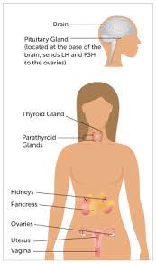 We did not find results for: Pcos All Guides Center For Young Women S Health