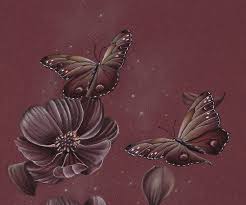 Delicious flowers a great styling plant you must have. Butterflies And Chocolate Cosmos Flowers Pencil Drawing On Behance