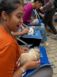 utgensurgery is taking over the Dell Med Instagram now! They're showing  behind the scenes of what life as a general surgery resident looks like —  including why they chose this specialty, perks