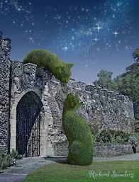 Topiary Cats Meet On A Moonlit Night Topiary Topiary Garden Urban Garden