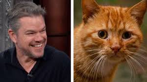 Matt Damon shares story about adopted cat from Costa Rica