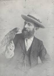 Image result for Tappan Gray 1972 Tappan