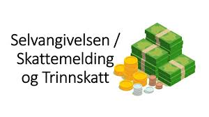 For eksempel kalles den gamle omsetningsoppgaven for merverdiavgift nå «skattemelding for merverdiavgift». 26 Okonomi Selvangivelsen Skattemelding Og Trinnskatt Youtube