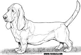 Basset Hound Coloring Page By Yuckles Dog Coloring Page Dog Images Coloring Pages