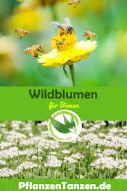 Pin Auf Gartenfreunde