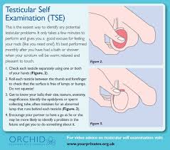 Knowing the symptoms could save your life. Orchid Cancer On Twitter It Is Very Important For Men To Check Themselves For Signs Of Testicular Cancer Yet Many Men Are Unaware Of How To Properly Perform A Testicular Self Examination For