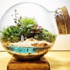 Quantas Lembrancas Daquele Verao Olha O Mini Catioro Sentadinho Gente Tem Feriadao Essa Semana Peca Un Terrarios Mini Terrario Ideias De Terrario
