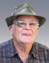 Contributions to the tribute of Ermes Pietro Colussi