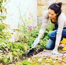 Maria Hambrick-COMPASS (@hambrickmaria) • Instagram photos and videos