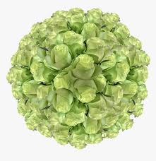 X large metal mint green rose flower with leaves for accents, embellishments, crafting, jewelry, art, woodworking, arrangements. Mint Green Roses Wholesale Lime Green Wedding Roses Artificial Flower Hd Png Download Transparent Png Image Pngitem