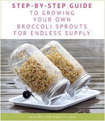 Put 2 tablespoons of seeds in a mason jar and cover with water to soak. How To Grow Broccoli Sprouts At Home