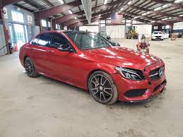 Image result for Hyacinth Red 2016 C