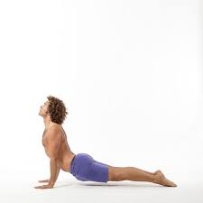 Sun Salutation B Sequence With Breath Ekhart Yoga Upward Facing Dog Pose Upward Facing Dog Yoga
