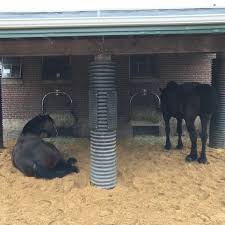 Diy hanging goat hay feeder. Diy Slow Feed Hay Feeders Home Facebook