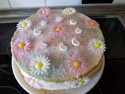 Dieses schöne handgemachte essbare gänseblümchen wird aus einer weichen zuckerpaste hergestellt. Papageien Torte Mit Kathis Backideen Sannes Block