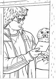 Disegni da colorare bing con tutti i personaggi del cartone animato in onda su rai yoyo e indirizzato a bambini in età prescolare. Disegno Di Harry Potter E Edvige Da Stampare Gratis E Da Colorare