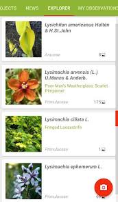 Quantity of seed required kg/ha. Plantnet Plant Identification Apk Download For Android