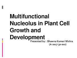 We did not find results for: Multifunctional Nucleolus In Plant Cell Growth And Development
