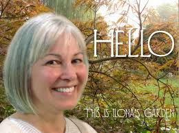 A Japanese Beetle Plague