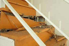 What homeowners insurance does cover. Did You Know That Homeowners Insurance Is Unlikely To Cover Termite Damage Russell S Pest Control