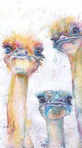 Ostrich Print Watercolor Painting Bird Nursery Decor Emu Art Emus Art Animal Paintings Bird Drawings