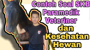 Kampus psdku banyuwangi universitas airlangga. Terbaru Contoh Soal Skb Medik Veteriner Dan Kesehatan Hewan Medikveteriner Skbparamedikveteriner Youtube