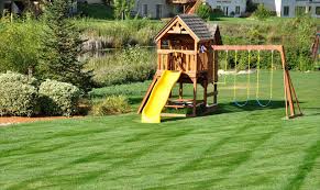 Why choose total lawn care? Pete S Total Lawn Care In Browns Summit Nc