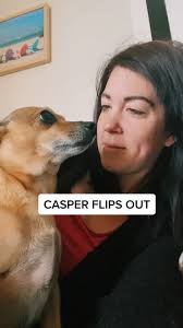 Casper The Dog Video Bellaaa
