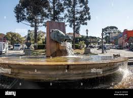 Image result for tbn:tVj6rqcH-AQR9M::www.pregonagropecuario.com.ar/images/caballo_overo.jpg