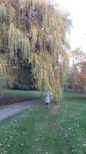 Zum forum von botanischer garten der uni hohenheim. Hohenheimer Garten Stuttgart 2020 All You Need To Know Before You Go With Photos Tripadvisor