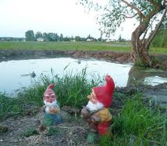 Enlevement Du Nain De Jardin Trainou Gnome Garden Gnomes Cute