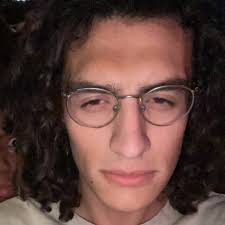 Lost Penguins (@lostpenguins) • Instagram photos and videos