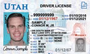 Maybe you would like to learn more about one of these? Getting Your License Guide Wright Driving School